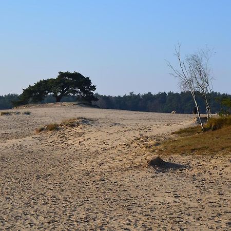 فيلا Huisje Weideblik Doornspijk المظهر الخارجي الصورة